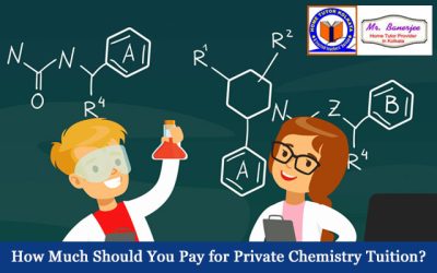 How Much Should You Pay for Private Chemistry Tuition?